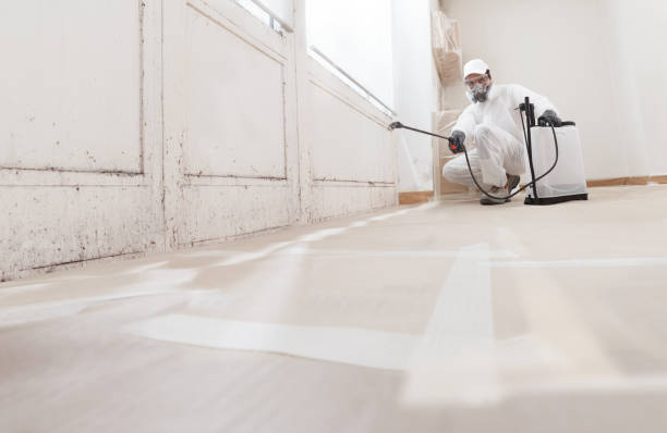 24/7 Emergency Mold Testing experts in Jacksonville, TX