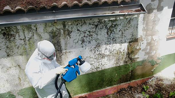 Trusted Commercial Mold Remediation service in Jacksonville, TX - Cheap Mold Removal